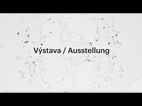 thmb-vystava-6467.jpg